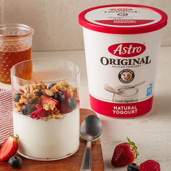 Astro yogurt tub on a table with yogurt, fruit and honey